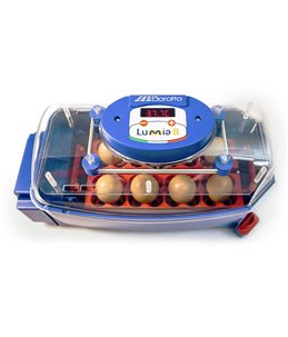 Borotto lumia 8 broedmachine