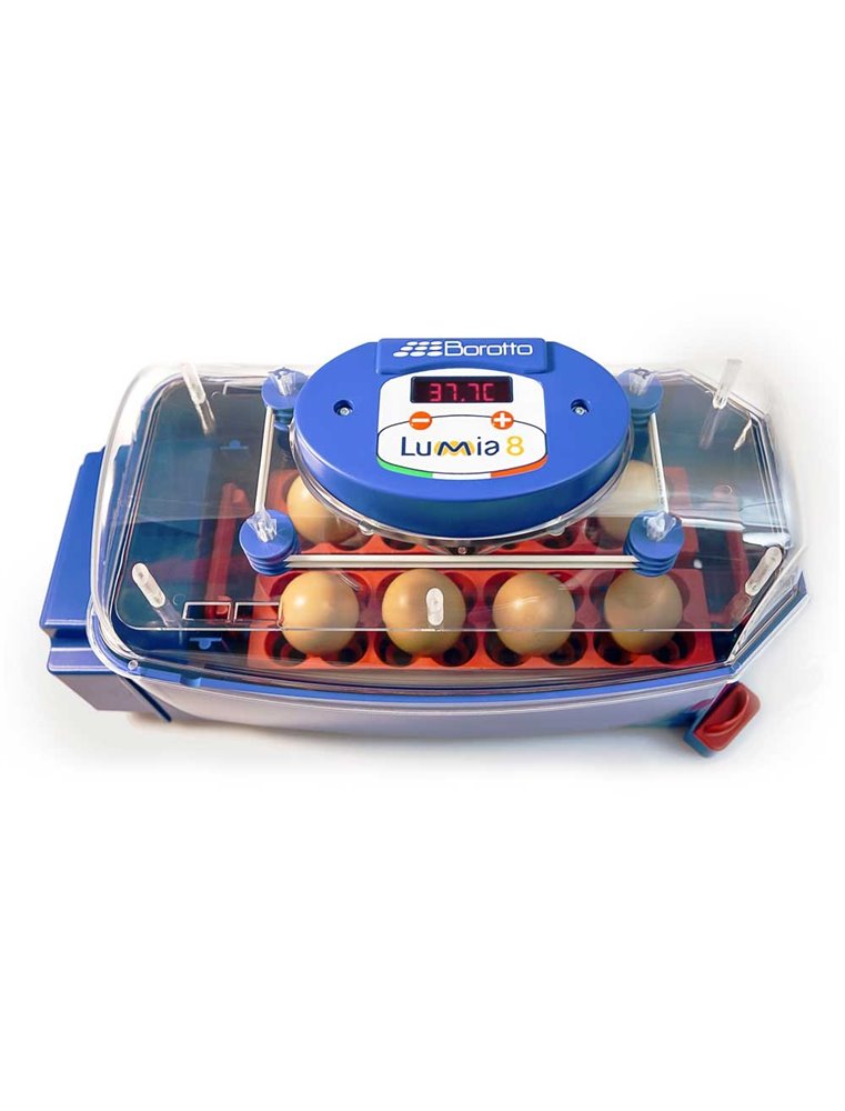 Borotto lumia 8 broedmachine