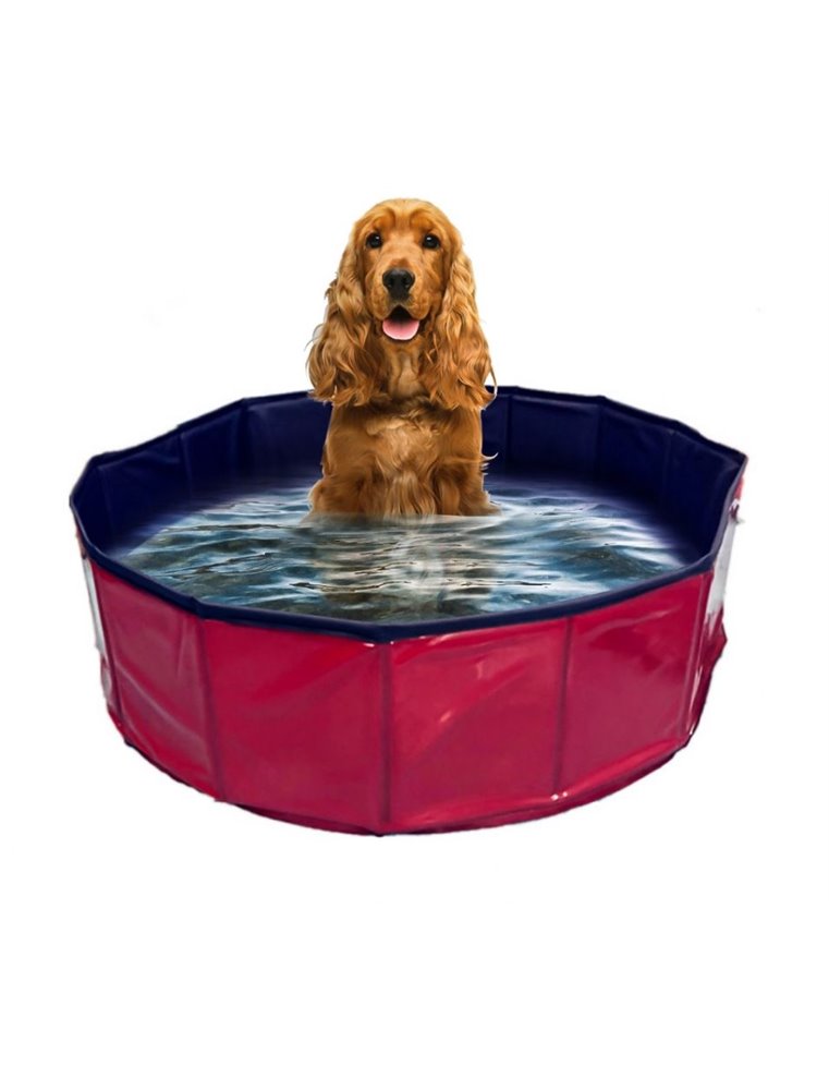Hondenzwembad - Rood/Blauw - 30 x 30 x 10cm