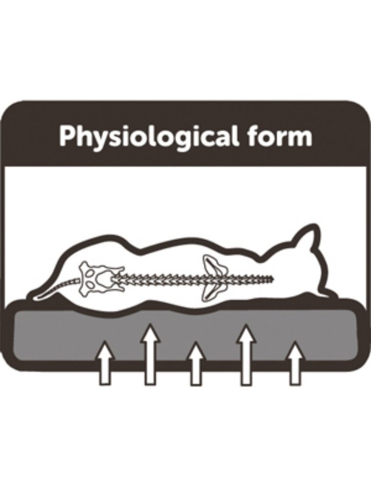 Bed Ortho Ovaal Beige 72X50X20 CM