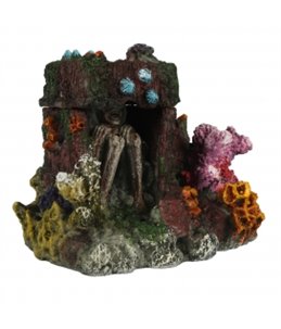 Verdwaald bot 15x11x11,5cm