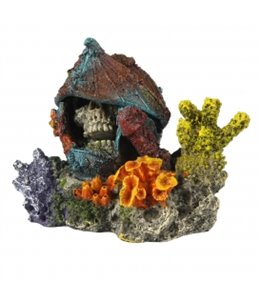 Verdwaalde schedel 15,5x12x12cm