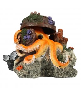 Verdwaalde octopus 15,5x12,5x11cm