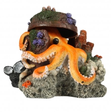 Verdwaalde octopus 15,5x12,5x11cm