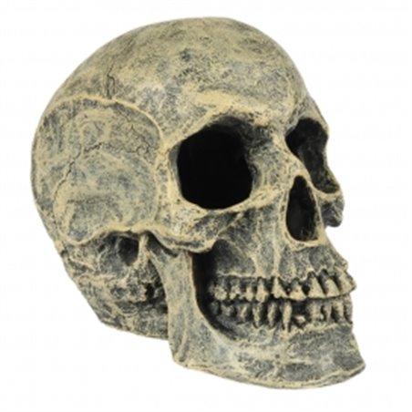 Doodskop 16x10,5x13,2cm