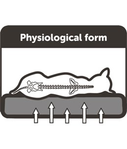 Flamingo Orthopedisch Hondenkussen - 120 x 72 x 24 cm - Beige