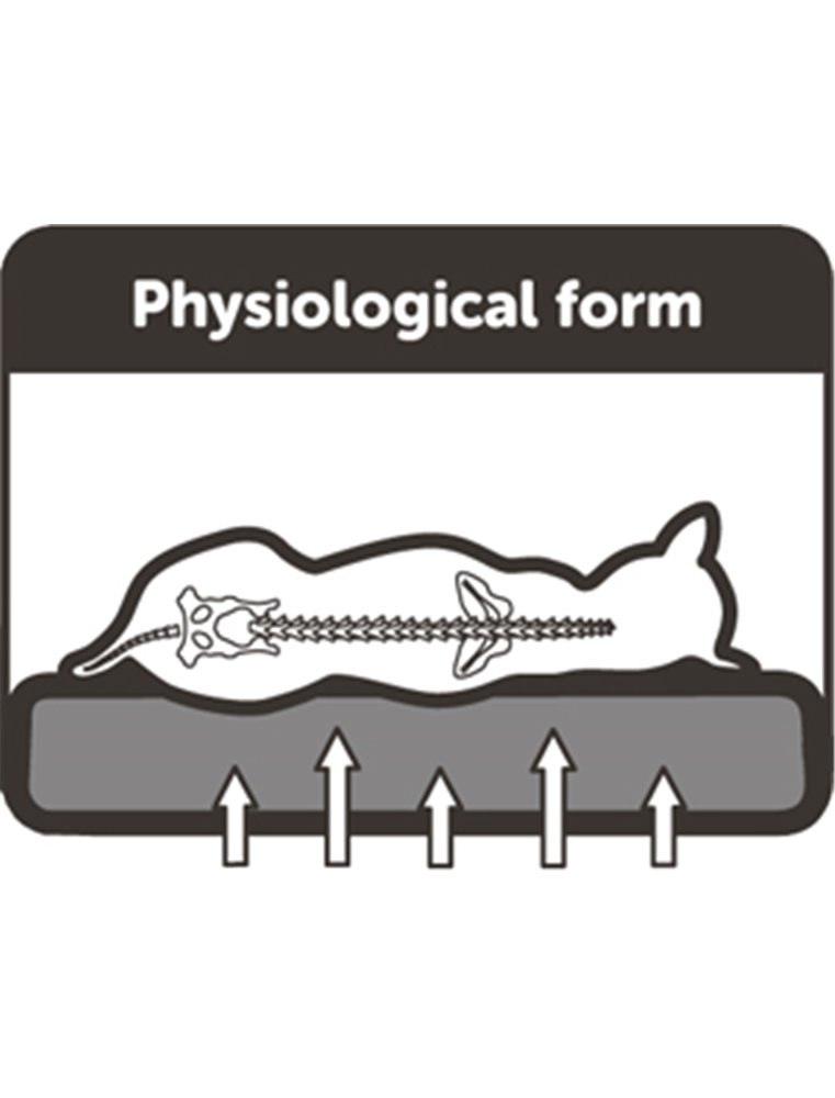 Flamingo Orthopedisch Hondenkussen - 120 x 72 x 24 cm - Beige