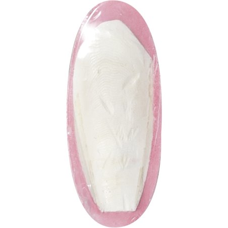 Vogelaccessoire sepia schelp aardbei