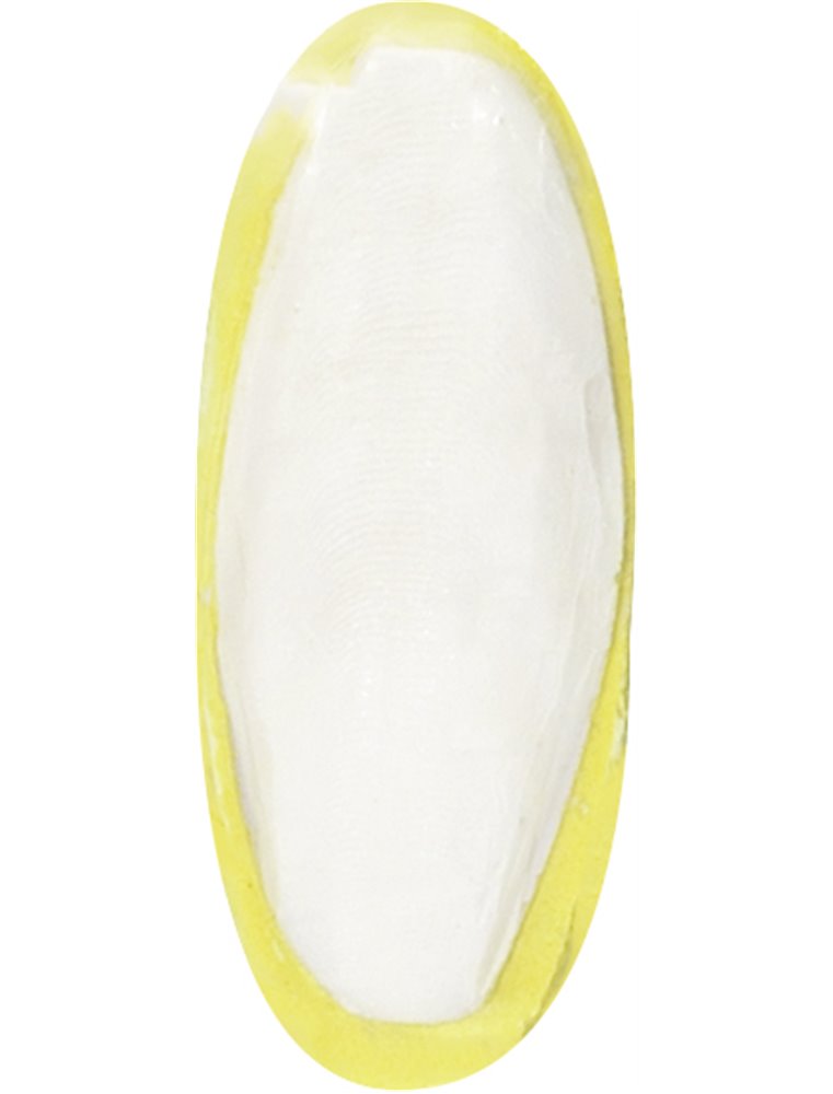 Flamingo Vogelaccessoire Sepia Schelp Banaan - 5