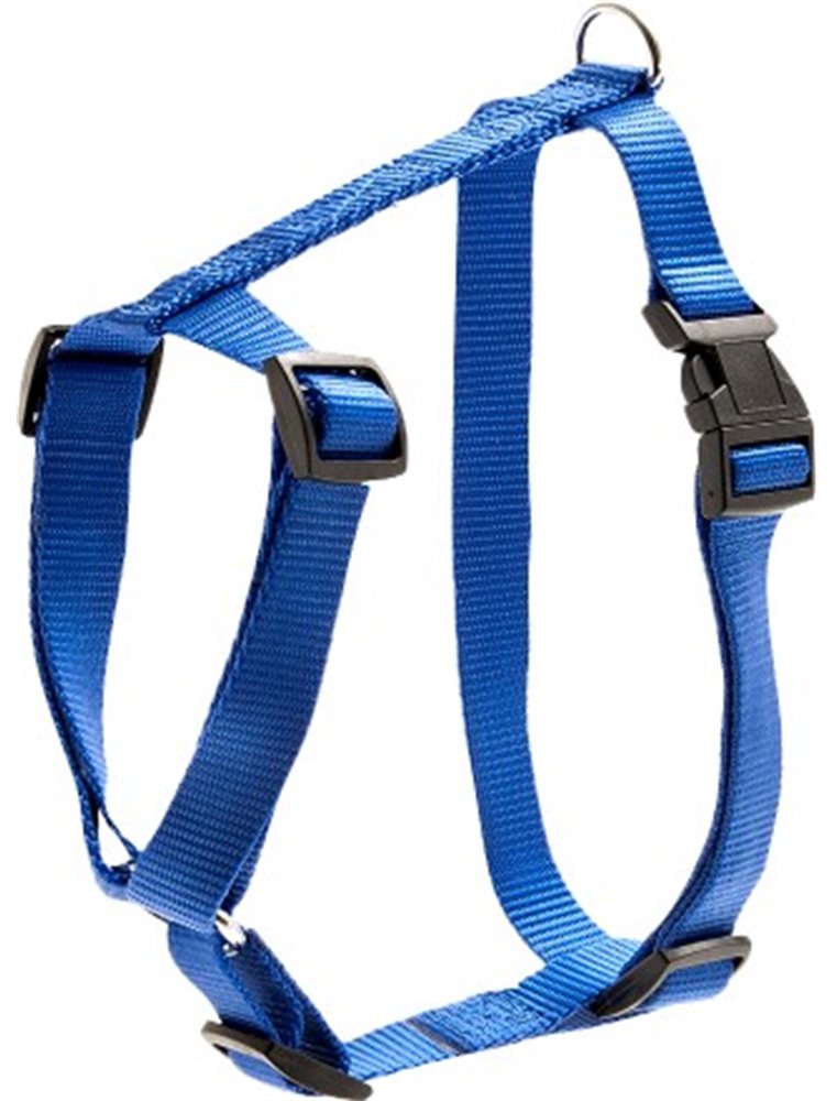 Tuig Sport Basic - 20 mm x 45-70 cm - Blauw