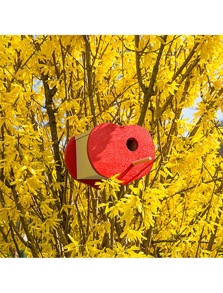 NATURA FUN 1 HOUTEN VOGELHUIS