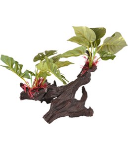 AD TROPICA TAK+PLANT 30x21x28CM 