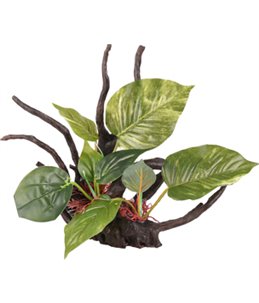 AD TROPICA TAK+PLANT 30x20x24CM 