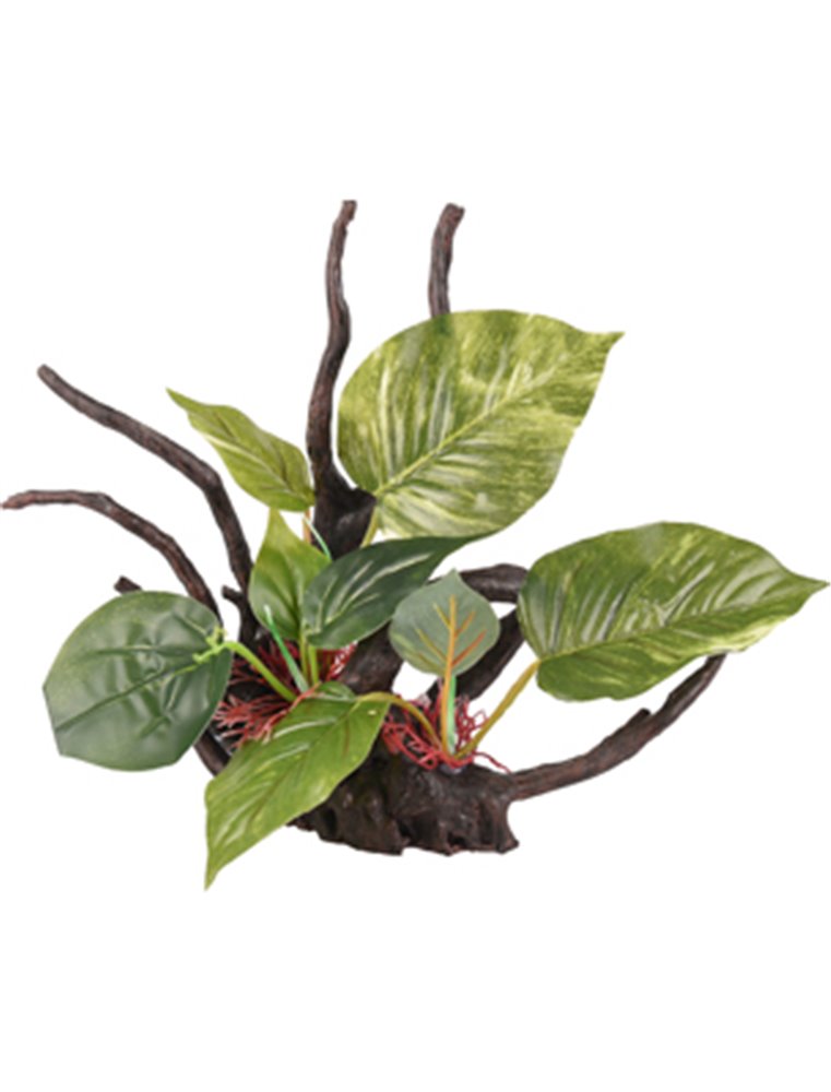 AD TROPICA TAK+PLANT 30x20x24CM 