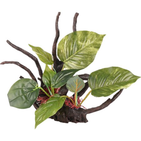 Ad tropica tak+plant 30x20x24cm 
