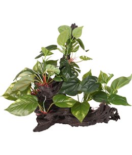 AD TROPICA TAK+PLANT 49x35x38CM 