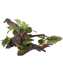 AD TROPICA TAK+PLANT 54x38x33CM 