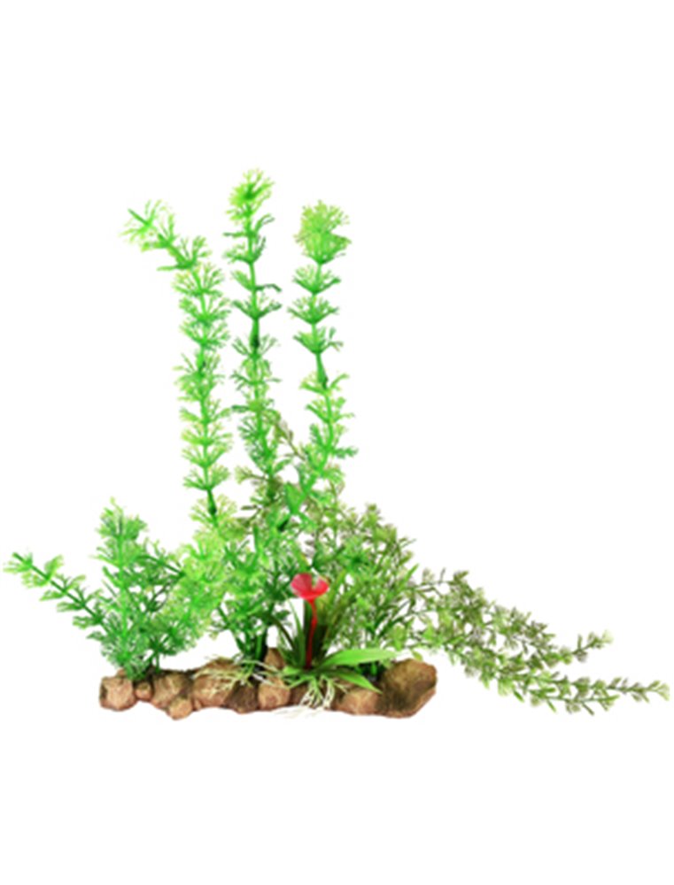 AD UMBRA AQUARIUMPLANT 21x9x30CM 