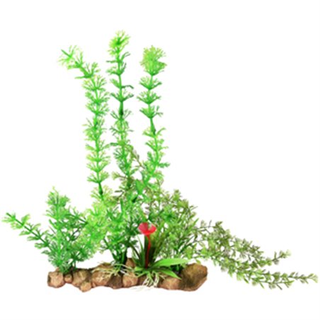Ad umbra aquariumplant 21x9x30cm 