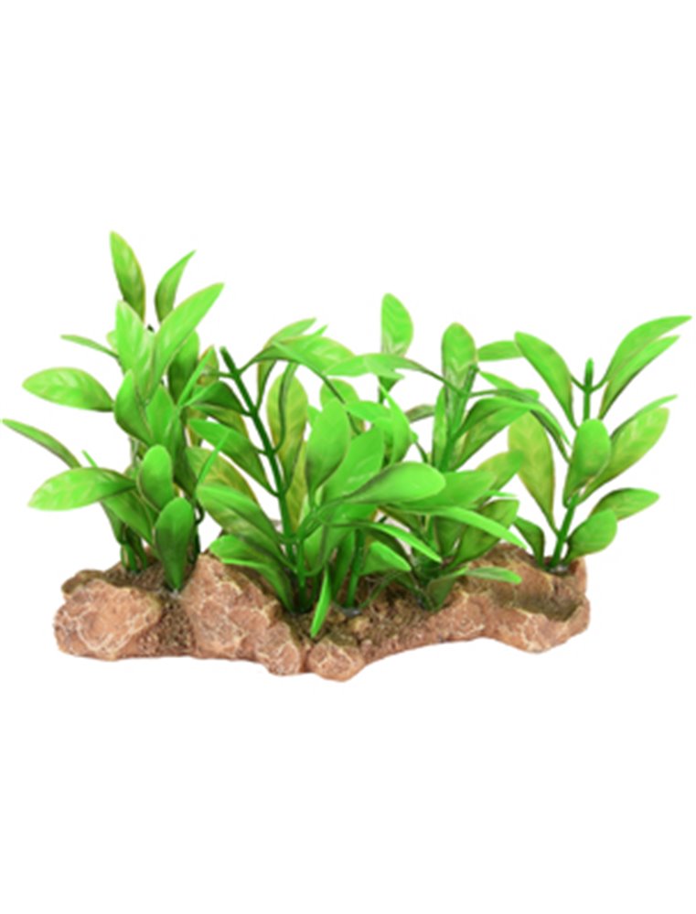 AD UMBRA AQUARIUMPLANT 15x7x9CM 