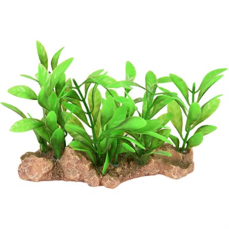 Ad umbra aquariumplant 15x7x9cm 