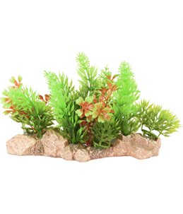 AD UMBRA AQUARIUMPLANT 15x7x10CM 