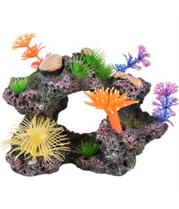  AD KORALIA KORAALROTS 17,5x14x13,5 