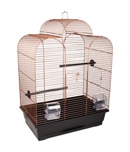 parkietenkooi dara koper  