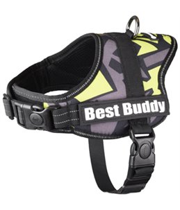 HARNAS BEST BUDDY PLUTO GROEN 