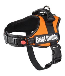 HARNAS BEST BUDDY PLUTO ORANJE M 