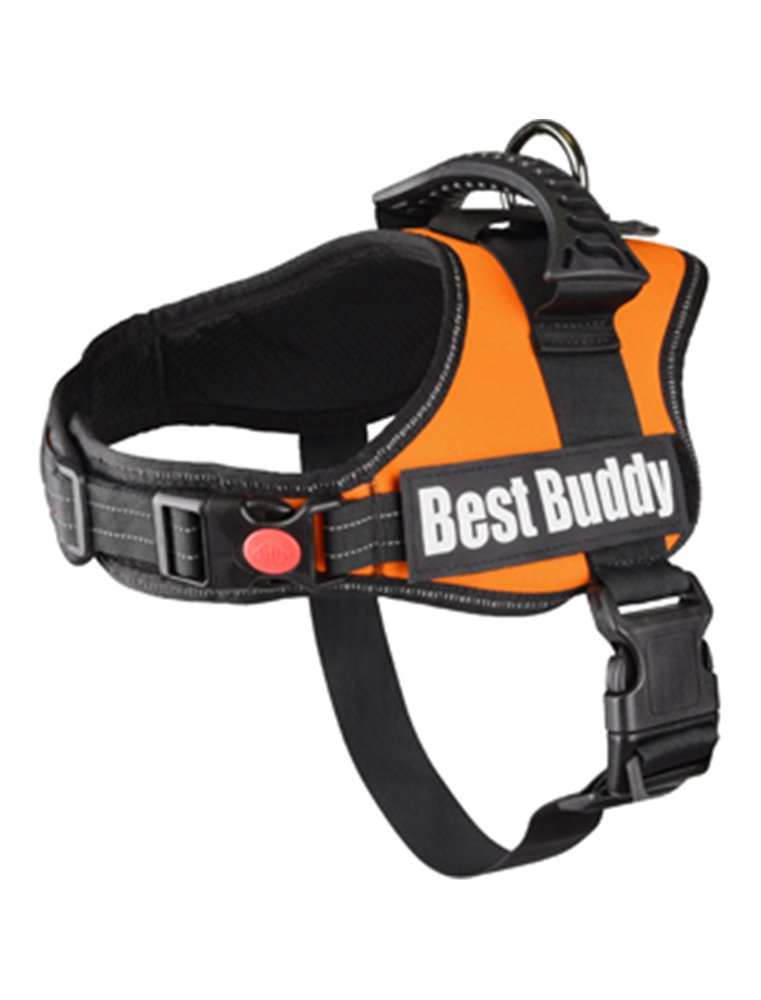HARNAS BEST BUDDY PLUTO ORANJE M 