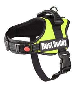 HARNAS BEST BUDDY PLUTO NEON GROEN 