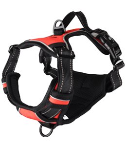 HARNAS BALOU ROOD M 50-65CM*25MM 