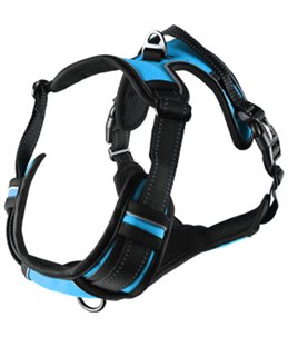 HARNAS BALOU BLAUW L 60-85CM*25MM 