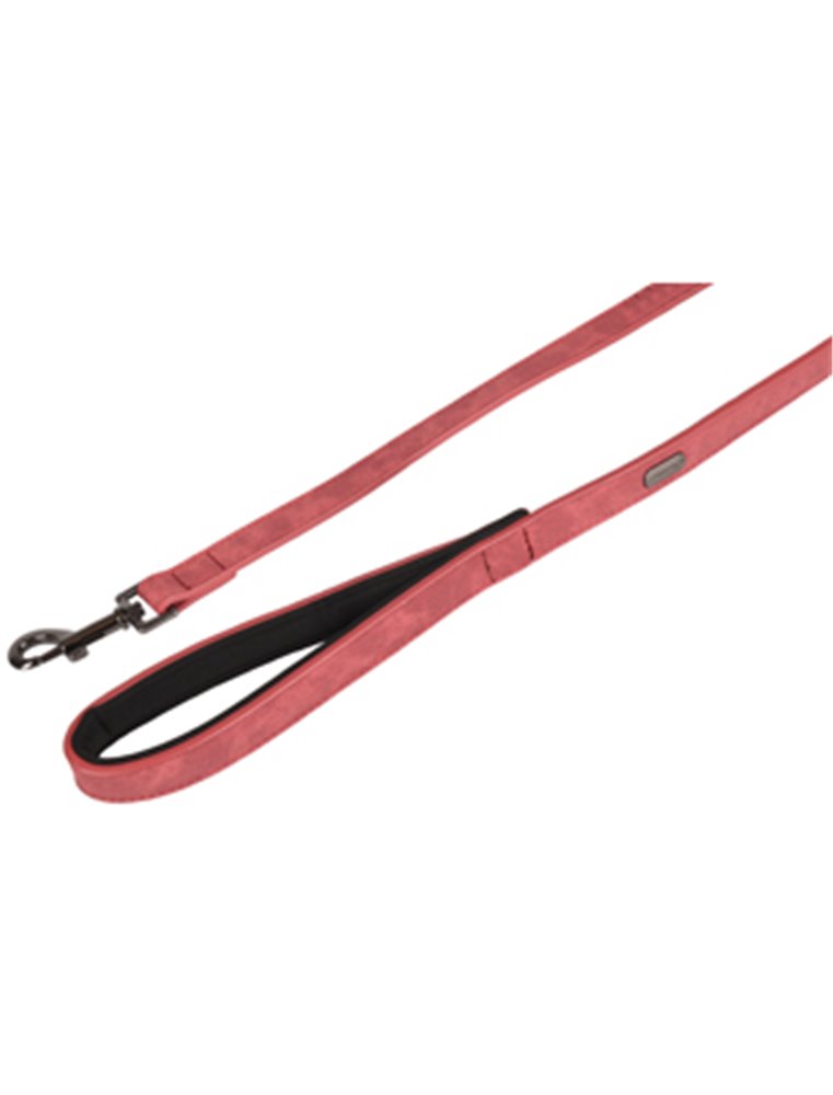 LOOPLIJN DELU ROOD 100CM 25MM 