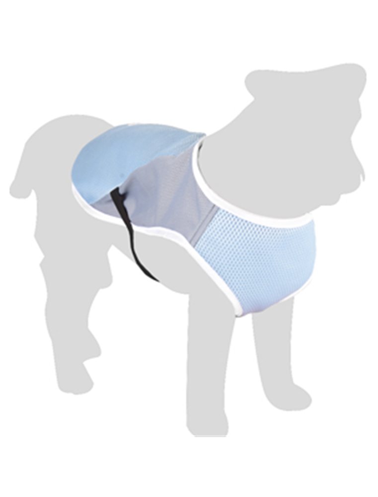 KOELJAS FROZEN BLAUW GRIJS S 30CM 