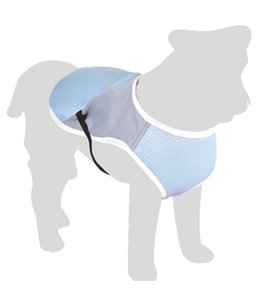 KOELJAS FROZEN BLAUW GRIJS M 35CM 