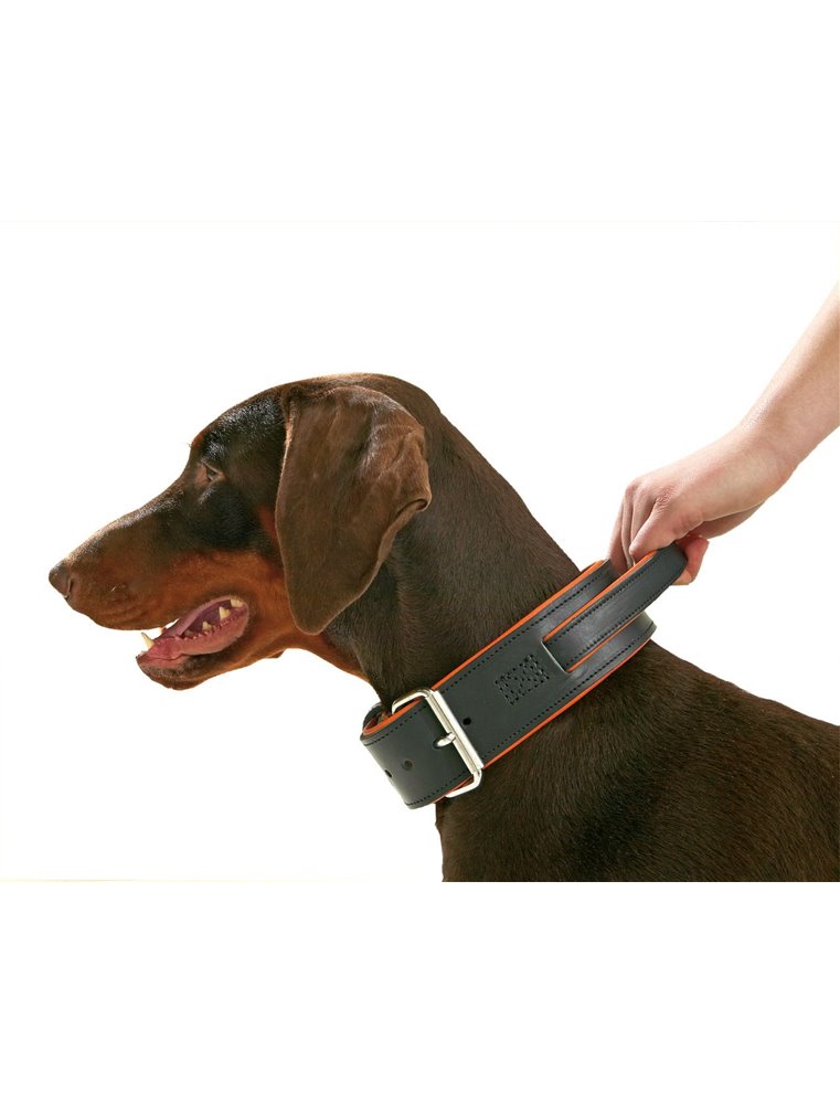 COLLAR RONDO 70CM 54MM BLACK,HANDLE VERST/ADJ 53,5-61,5CM