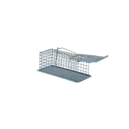 Muizenvangkooi 1 ingang