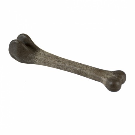 Yummy been chocolate hard - tibia 11cm - 20gr