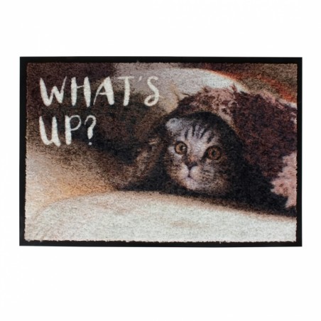 Vloermat indoor what's up 60x40x0,6cm