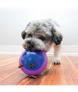 Kong hopz ball Paars (L)