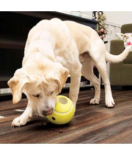 Kong rewards tennis Geel (S)