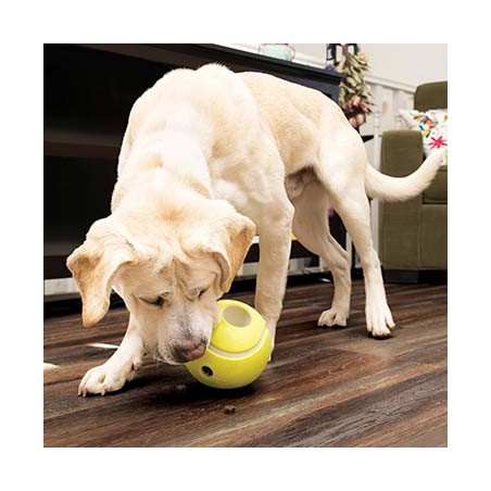 Kong rewards tennis Geel (S)