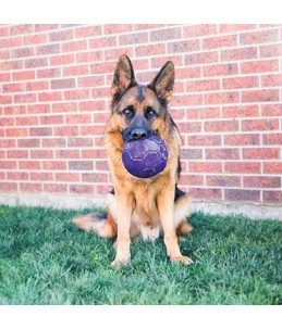 Kong flexball Paars L -...