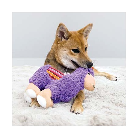 Kong sherps lama (M)