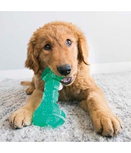 Kong squeezz dental stick...