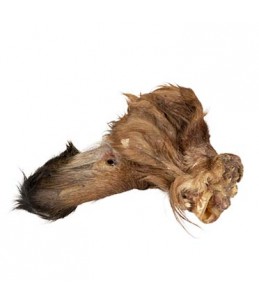 Farmz runderoren met haar 50st