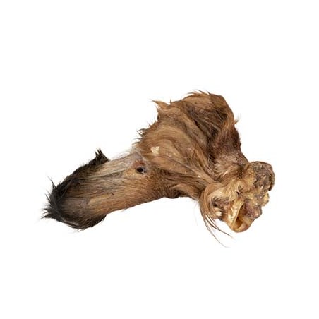 Farmz runderoren met haar 50st