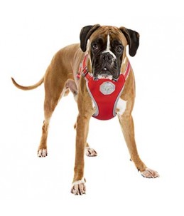 Flashlight harnas met looplijn